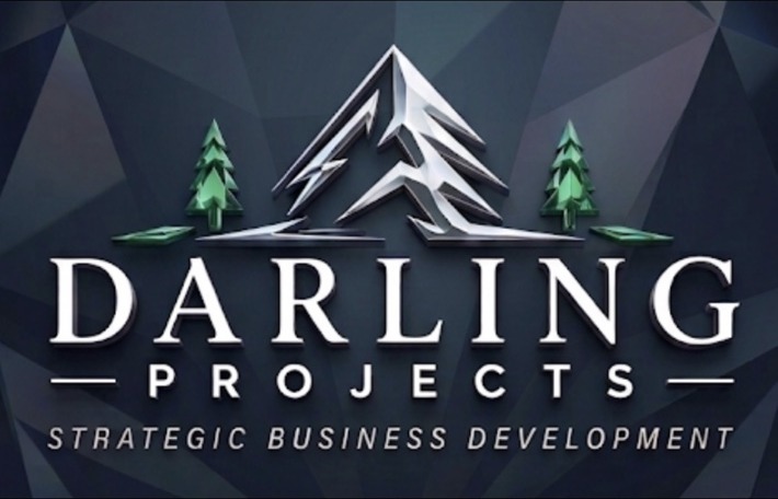 Darling Projects Strategic Business Development logo
